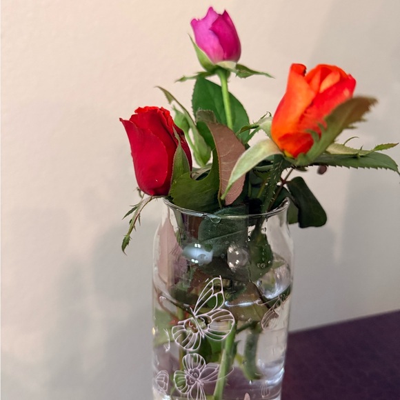 Meet your Posher, Maleny - Picture 1 of 1